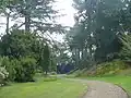 Biddulph Grange: the pinetum