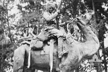 A dark-skinned man wearing a turban is mounted on a camel. He is holding a vertically aimed rifle in his right hand. Behind his is a background of trees.