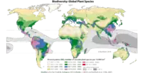 The first detailed world map of biodiversity of plants (first publisherd in Barthlott et al. 1996),  shows the global distribution of plants