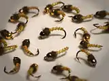 Biot midge larvae