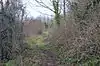 Birdbrook Road Nature Reserve