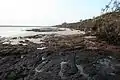 Blackrock Beach - Big Talbot Island