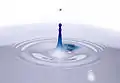 Blue dye being dropped in a saucer of milk