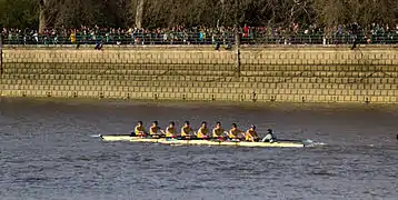 Cambridge Men's Reserve Goldie boat