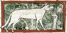 Image 43As is usual in bestiaries, the lynx in this late 13th-century English manuscript is shown urinating, the urine turning to the mythical stone Lyngurium (from List of mythological objects)