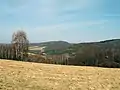 Bodružal in spring