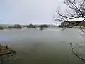 High water at the confluence of the Stepenitz and Radegast in March 2010