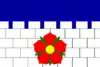 Flag of Borovany