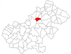 Location in Satu Mare County
