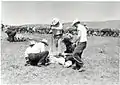 Branding at Spade Ranch (ca. 1963)