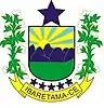 Official seal of Ibaretama