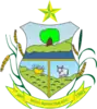 Official seal of Novo Repartimento