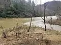 Russell Fork while flooded