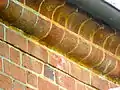 Brick Cornice Molding on Miller House