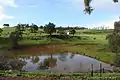 A typical rural landscape in the vicinity of Bridgetown