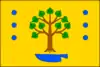 Flag of Brodek u Konice