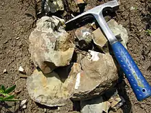 Geologist's hammer