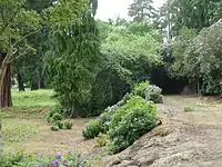 Heavily overgrown footpath on a raised earth bank
