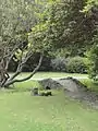 Oriental Garden 2011