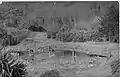 Oriental Garden circa 1940