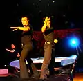 Bulgarian swing and springboard