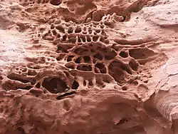 Tafoni in sandstone, Südpfalz, Rheinland-Pfalz, Germany