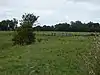 Burgh Common and Muckfleet Marshes