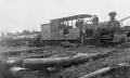 Johnston Loco, Price 16-wheeler steam locomotive with a load of logs