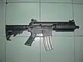 Bushmaster Carbon-15 SBR (shorter barrel)