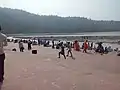 busy triveni