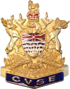 Badge cap of the CVSE