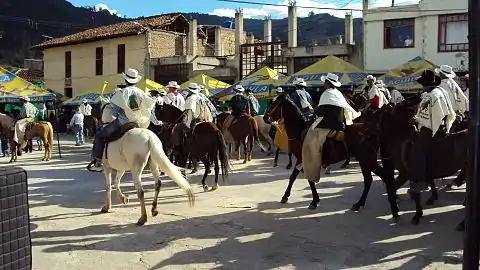 Sativasur festival