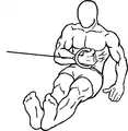 Rotating the arm closer to the body is internal rotation.