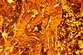 Thin layer: calcretes (calcareous crusts) reworked in a gravelly coastal sediment, partly dolomitized.