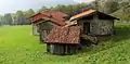Alpe Carcheccio