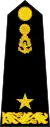 Commodore