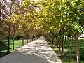 Campus