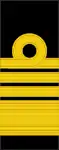 Tunic rank insignia (2010-)