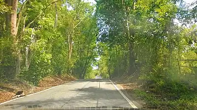 Puerto Rico Highway 119 in San Sebastián