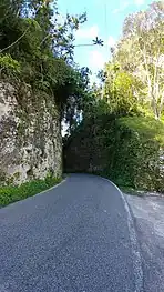 Puerto Rico Highway 140 in Ciales