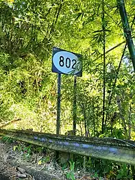 Puerto Rico Highway 802 in Palmarito, Corozal