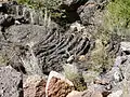 A close-up view of the lava flows, showing pahoēhoē (Hawaiian for "ropey") lava flow structure.