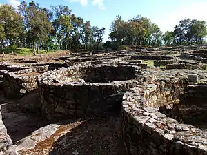 Castro housing in Cividade de Terroso