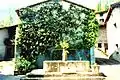 The "laip" or fountain at one time the only source of water.