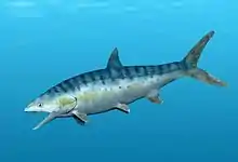 Caturus furcatus