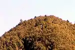 Hill of the Cross