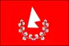 Flag of Česká