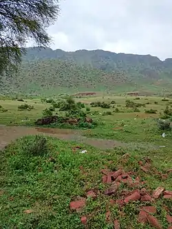 Chakri, Haseeb Mirza