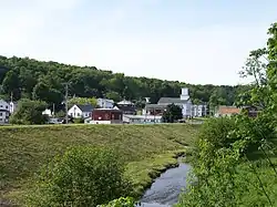 Cherry Tree along Cush Cushion Creek, and the flood control levee