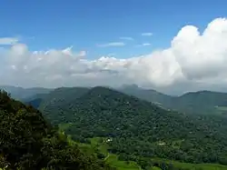 Bitaco Forest Reserve and tea plantation, Chicoral